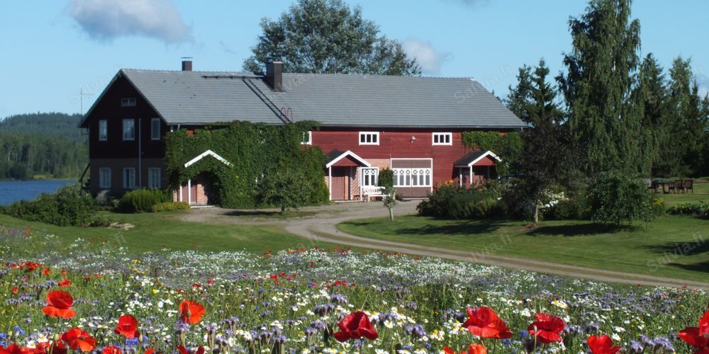 Salvian tilan pihapiiri ja kukkaniitty Päijänteen rannalla Luhangassa