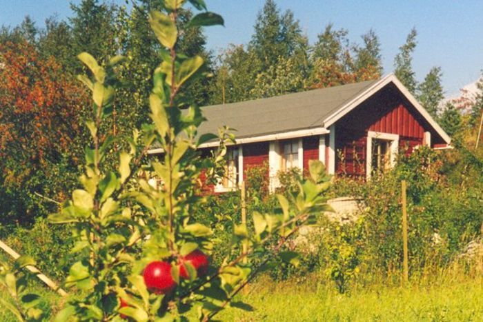 Röykkölän punainen hirsimökki ja omenapuu