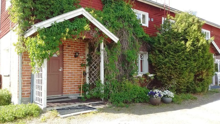 Loma-asunto Punainen tupa: köynnösten peittämä kuisti